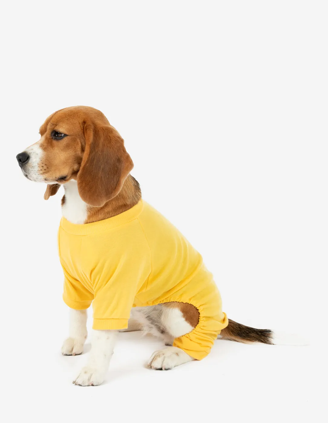 Dog's Solid Classic Color Pajamas