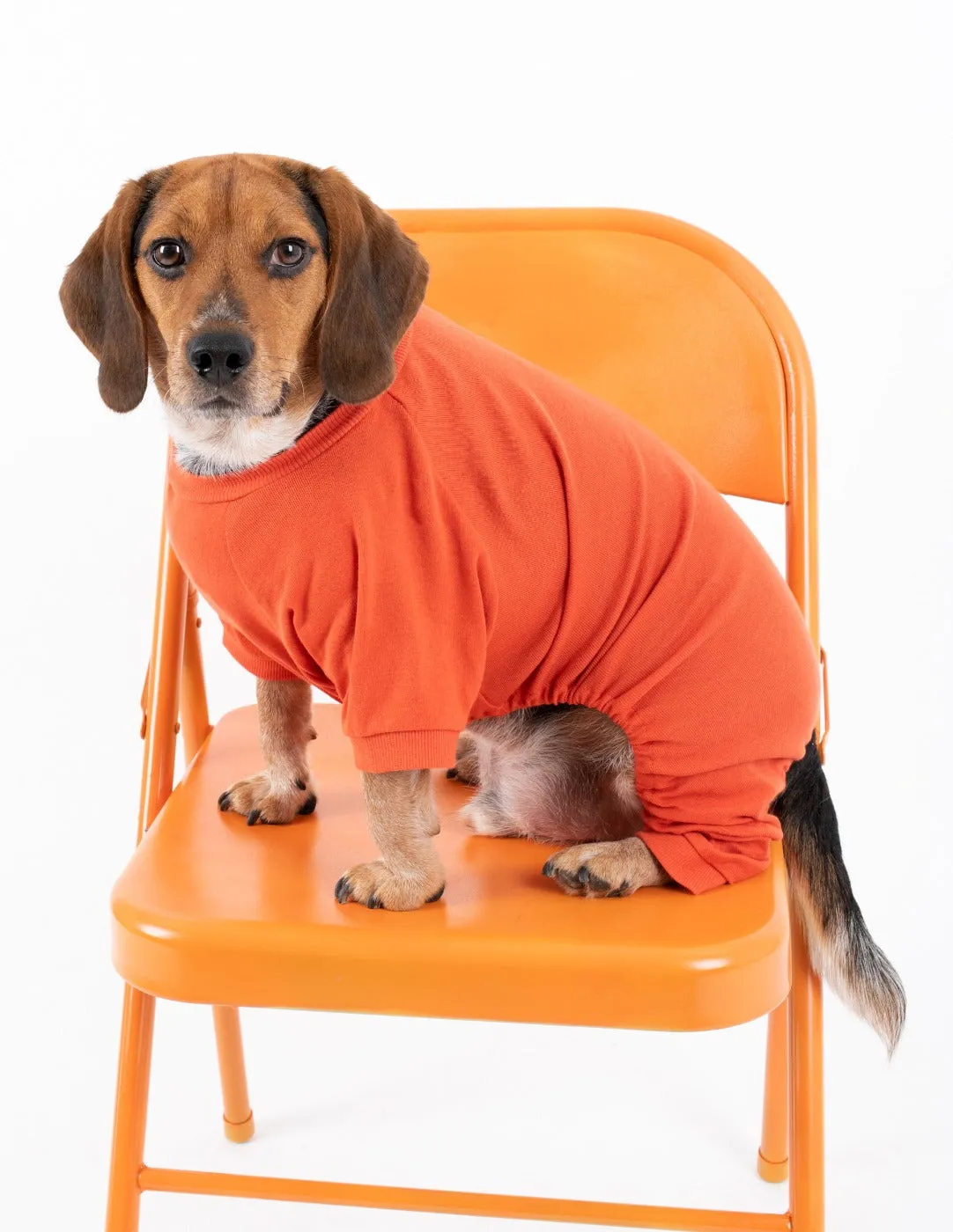 Dog's Solid Classic Color Pajamas