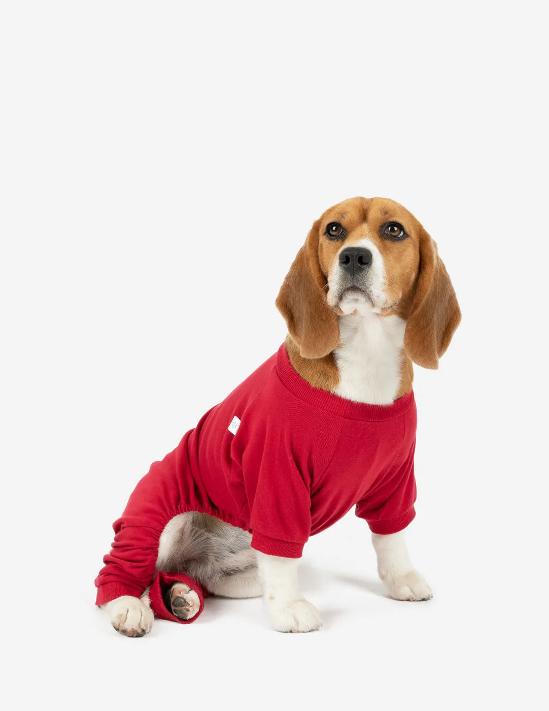 Dog's Solid Classic Color Pajamas