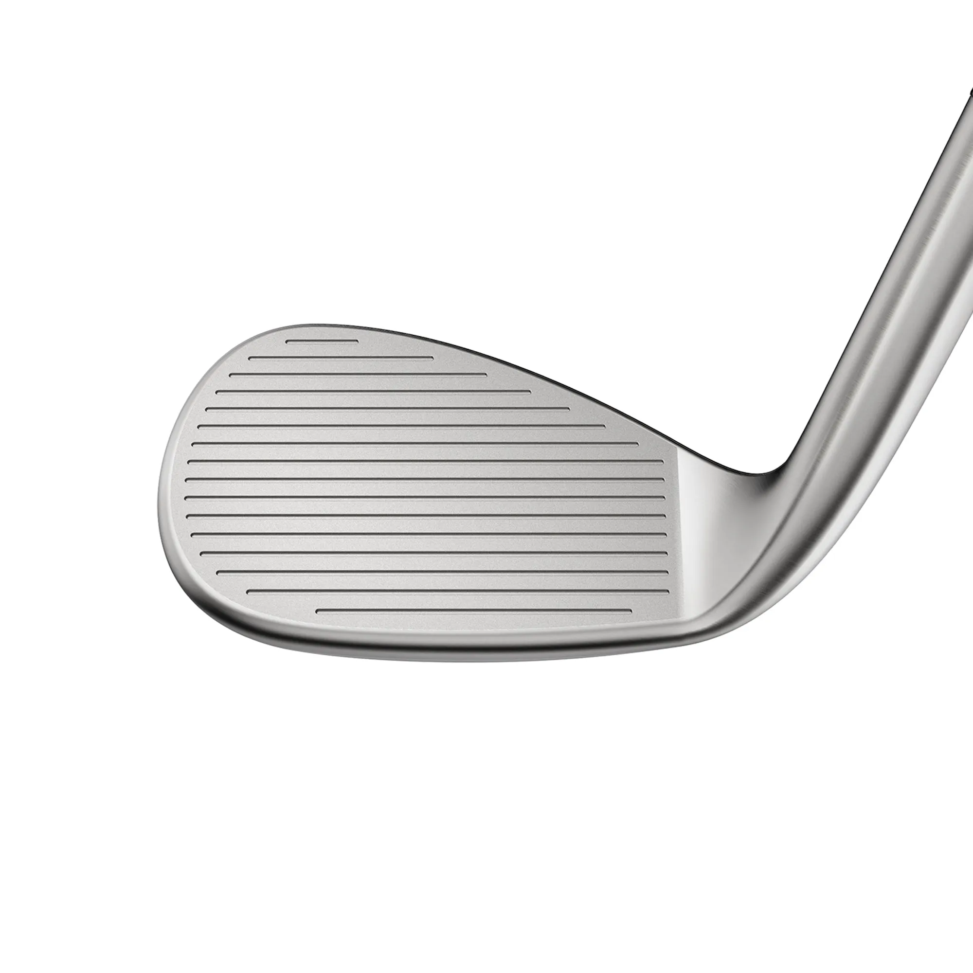 SNAKEBITE Raw Wedge | Classic | Right