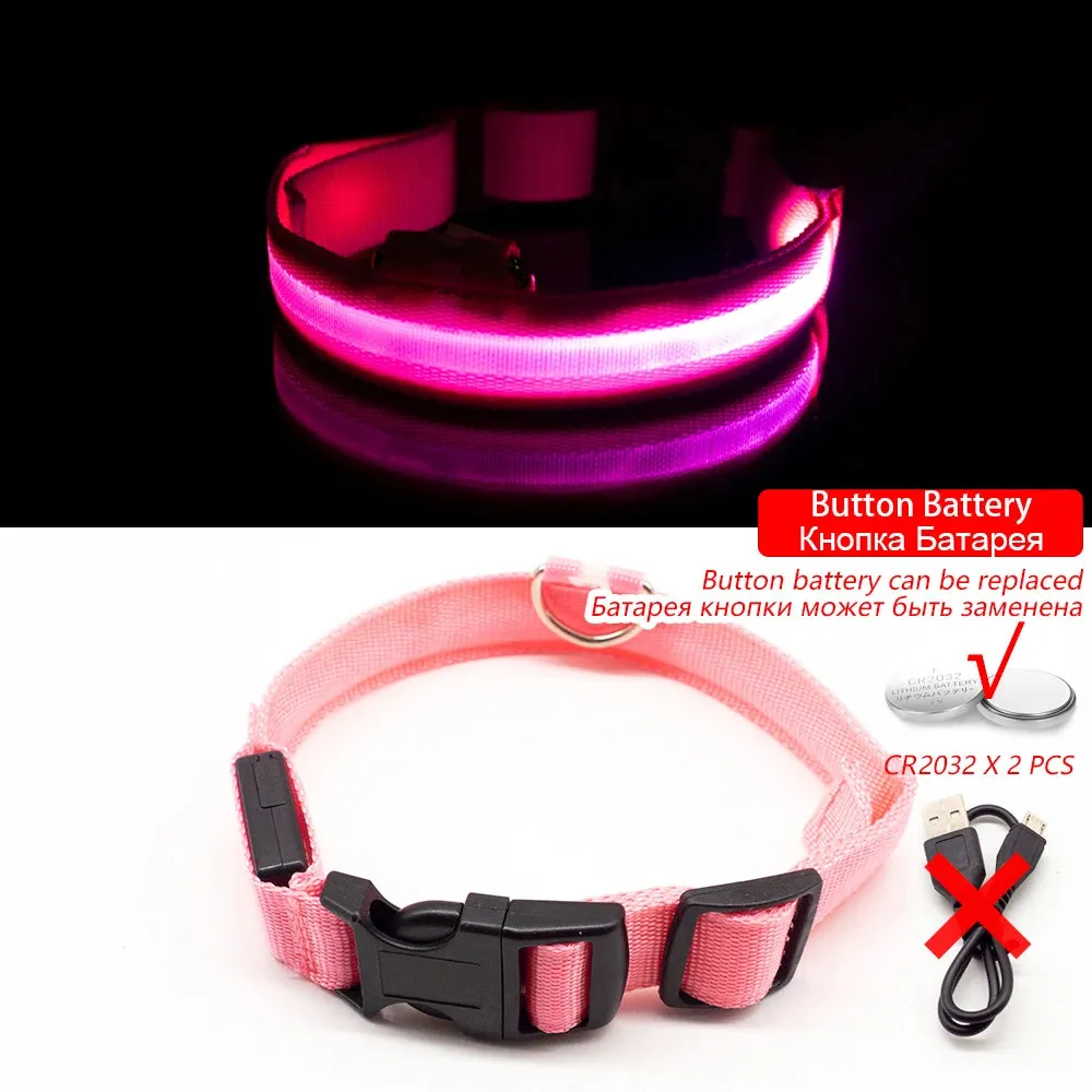 USB Charging/Battery replacement Led Dog Collar Anti-Lost Collar For Dogs Puppies Dog Collars Leads LED Supplies Pet Products