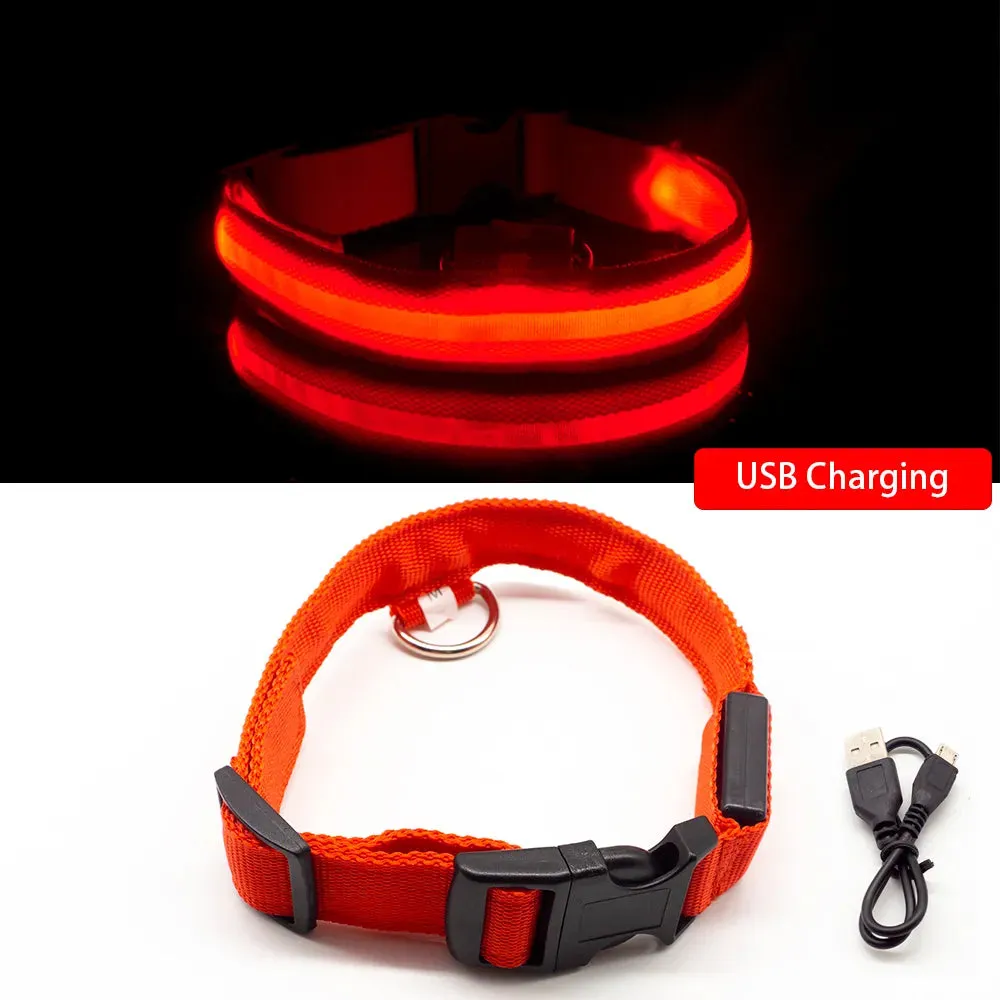 USB Charging/Battery replacement Led Dog Collar Anti-Lost Collar For Dogs Puppies Dog Collars Leads LED Supplies Pet Products